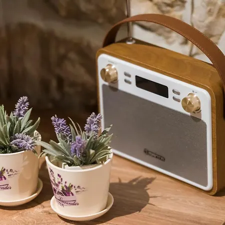 Kameni Dvori Βίλα